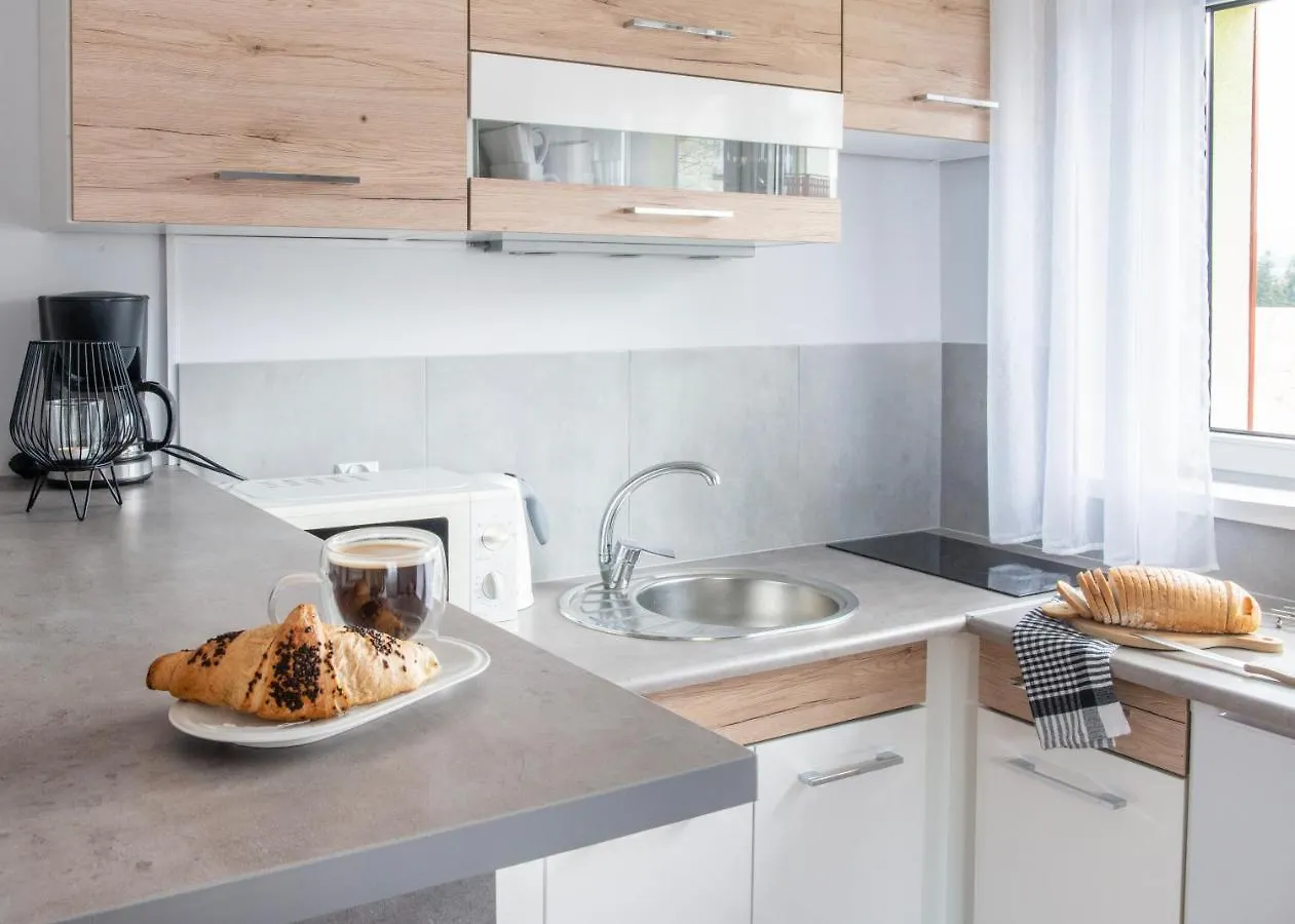 Willa Izabela Szklarska Poreba Apartment